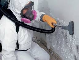 University Of Virginia, VA Mold Removal Company